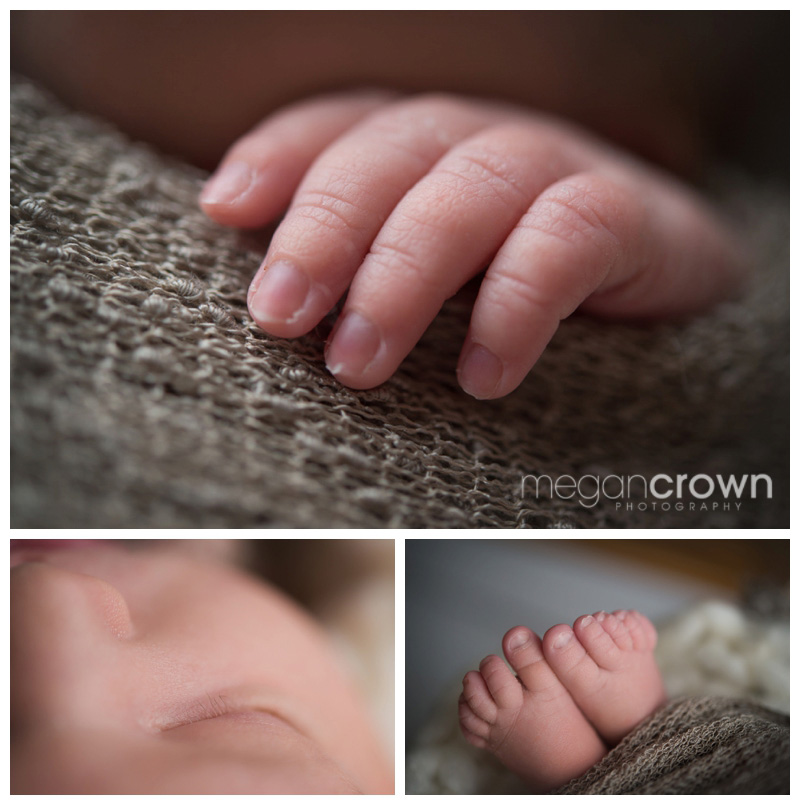 Vadnais Heights Studio Newborn Photographer Megan Crown_0007