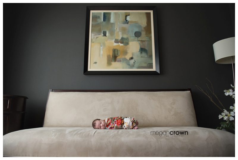 Arden Hills Newborn Photography by Megan Crown