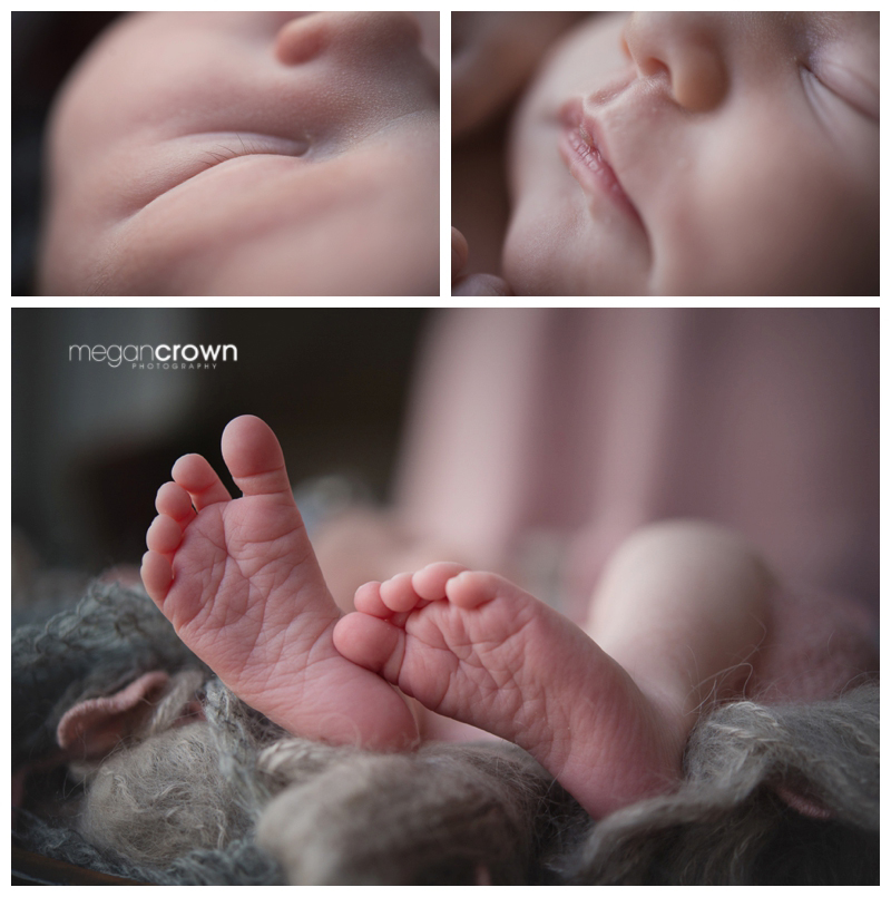 Arden Hills Newborn Photography by Megan Crown